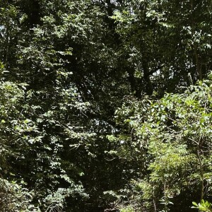 Gloria Pires exibiu barriga chapada em fotos de biquíni