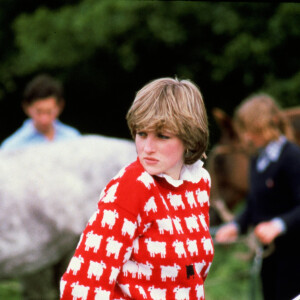 Casado de ovelhas da Princesa Diana foi arrematado por valor milionário em 15 minutos