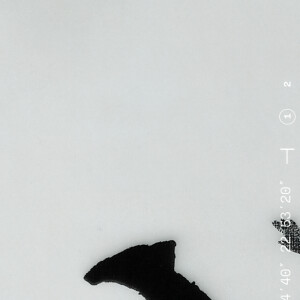 Junior Lima lançou, neste domingo (29), o álbum "solo (vol. 1)", o primeiro trabalho como cantor desde o fim da dupla com Sandy, em 2007