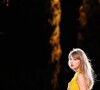 Taylor Swift chegou a adiar o segundo show no Rio de Janeiro no meio de turbulências