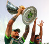 Palmeiras campeão brasileiro 2023: time conquistou o 12º título no torneio, sendo o segundo em sequência