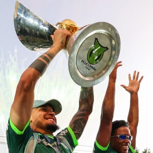 Palmeiras campeão brasileiro 2023: time conquistou o 12º título no torneio, sendo o segundo em sequência