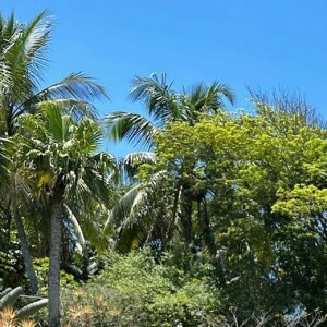 Paolla Oliveira voltou a publicar seu corpo real após as críticas tomarem conta das suas redes sociais