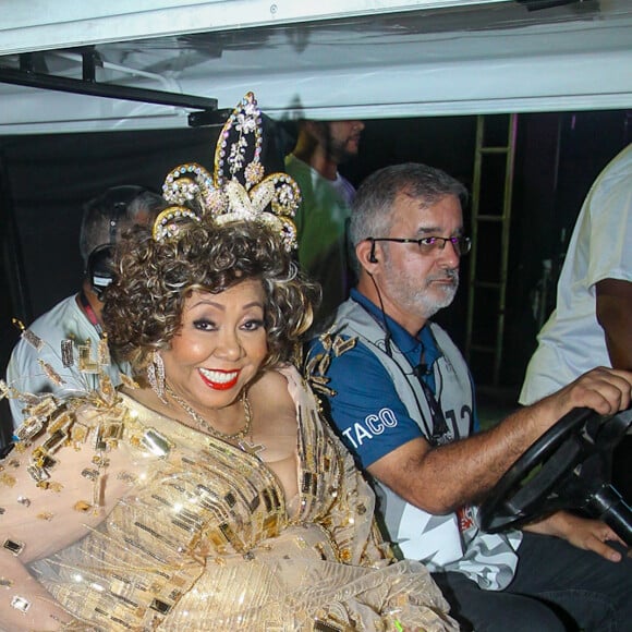 Desfile das Campeãs 2024: Alcione chegou deslumbrante em um look dourado