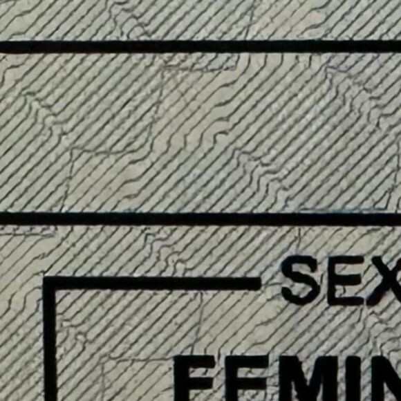 Maya Mazzafera mostrou que o sexo feminino já consta em seus documentos