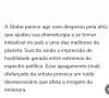 Globo foi criticada por jornalista após Regina Duarte ficar de fora do 'Tributo - Manoel Carlos'