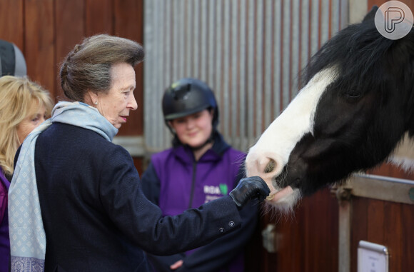 Princesa Anne foi internada em um hospital neste domingo (23) após sofrer um acidente enquanto montava um cavalo