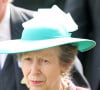 Estado de saúde da Princesa Anne: Palácio não se pronunciou sobre suposta concussão e disse que ela está internada apenas em observação