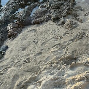 Em conversa com seguidores nas redes sociais, Maya Massafera revelou o quanto toma de hormônios diariamente