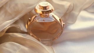 Um secador de cabelo pode ser o seu aliado para fazer o perfume fixar melhor na pele!