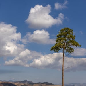 Bruno Gagliasso e Giovanna Ewbank foram muito participativos no processo de paisagismo do Rancho da Montanha