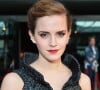 Emma Watson admitiu solidão em bastidores dos filmes 'Harry Potter': 'Estava me sentindo sozinha, em alguns momentos. Eu acho que estava assustada'