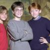 Em agosto de 2000, Daniel Radcliffe,Emma Watson e Rupert Grint tiveram seus nomes anunciados como protagonistas de 'Harry Portter', adaptação dos livros populares por JK Rowling