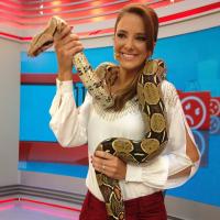 Ticiane Pinheiro, após 'Quadradinho de 8', apresenta programa com cobra