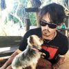 Johnny Depp chegou a Austrália em abril a bordo de seu jato particular. O ator levou os dois cães no voo, sem declarar na imigração que levava os animais