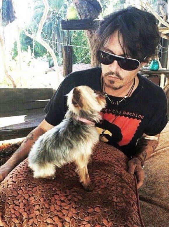 Johnny Depp chegou a Austrália em abril a bordo de seu jato particular. O ator levou os dois cães no voo, sem declarar na imigração que levava os animais