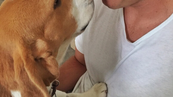 Gisele Bündchen mostra Tom Brady com o novo cachorro da família, o beagle Scooby