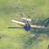 A aeronave pilotada por Harrison Ford caiu em um campo de golfe na Califórnia, nos Estados Unidos. O ator teve alta no final de março e já foi até flagrado dirigindo