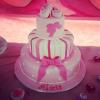 A comemoração foi no domingo, dia 23 de junho de 2013, com direito a um bolo rosa, decorado com o nome da menina