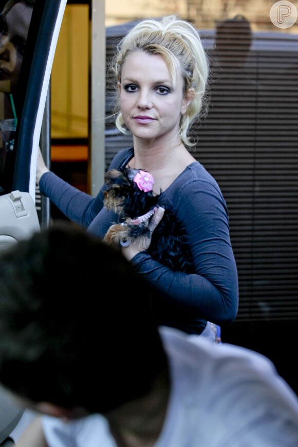 Britney Spears fica o tempo todo com sua cachorrinha no colo