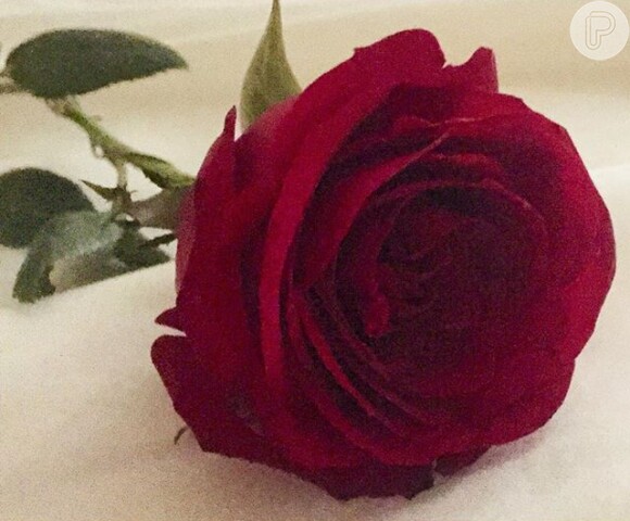 Recentemente, a atriz compartilhou em seu Instagram a foto de uma rosa vermelha com a legenda 'Gracias Gabriel', deixando seus seguidores curiosos