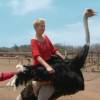 Xuxa anda em cima de avestruz durante passeio por Curaçao: 'Ok, já quero descer'