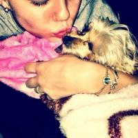 Miley Cyrus sofre com morte de cadelinha: 'Preciso de você, minha bebezinha'