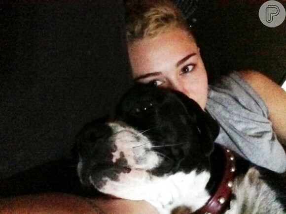 Miley Cyrus posta foto com sua cadela em seu Twitter
