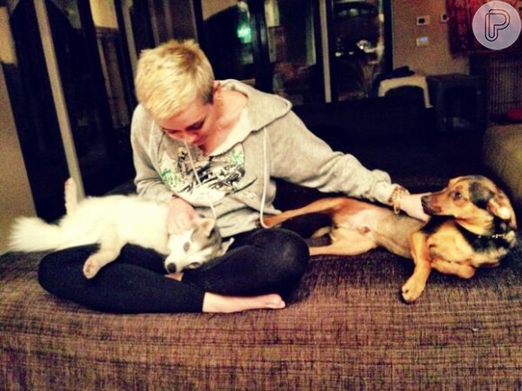 Apaixonada por animais, Miley Cyrus faz carinho em seus cachorros