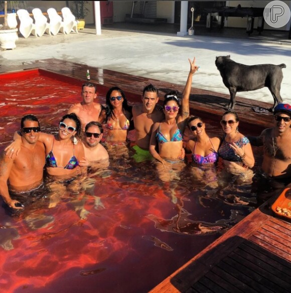 André Marques e Aline Riscado curtem piscina juntos ao lado de amigos, em 2 de janeiro de 2016