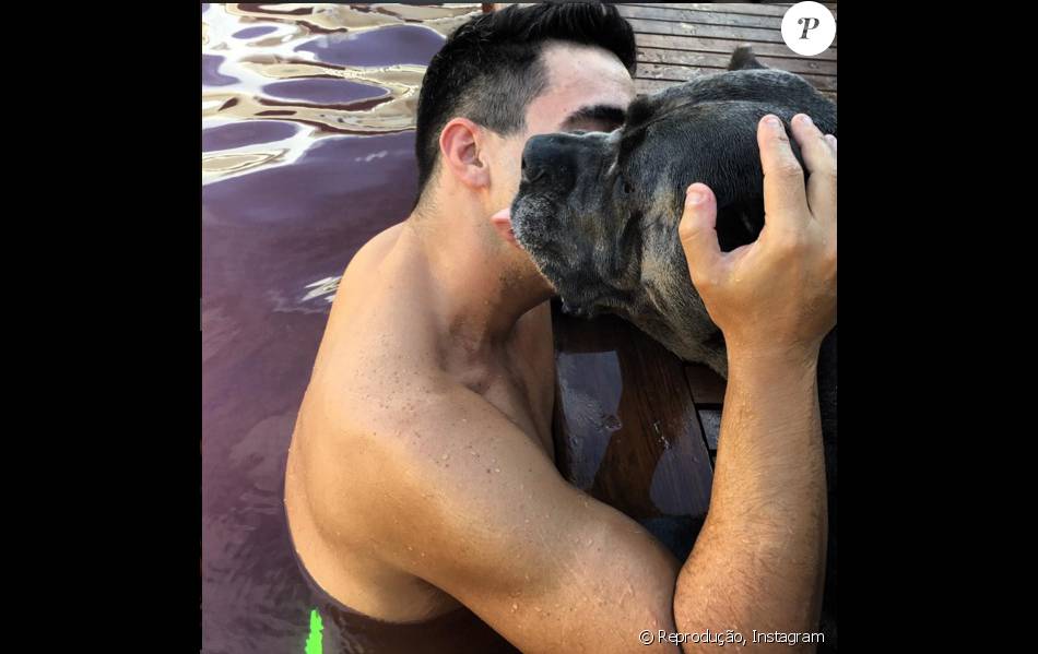 Andre Marques Curte Piscina Ao Lado De Cachorros Purepeople