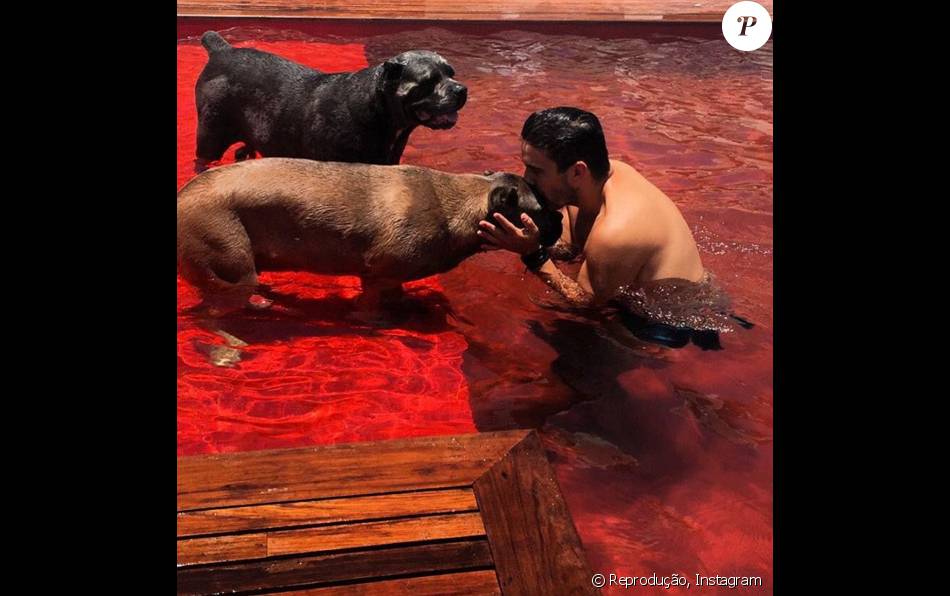 Piscina Da Casa De Andre Marques E Vermelha Purepeople