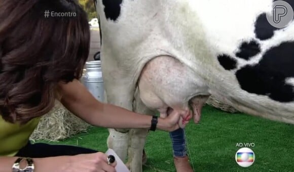 Fátima Bernardes  tirou leite de vaca no 'Encontro com Fátima Bernardes' e admitiu não gostar da bebida: 'Nem quando criança'