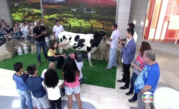 Fátima Bernardes brincou após tirar leite de vaca no 'Encontro com Fátima Bernardes': 'Tirar o leite não foi ruim, não...mas se tivesse que tomar esse leite...'