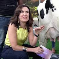 Fátima Bernardes tira leite de vaca na TV ao voltar das férias: 'Não foi ruim'