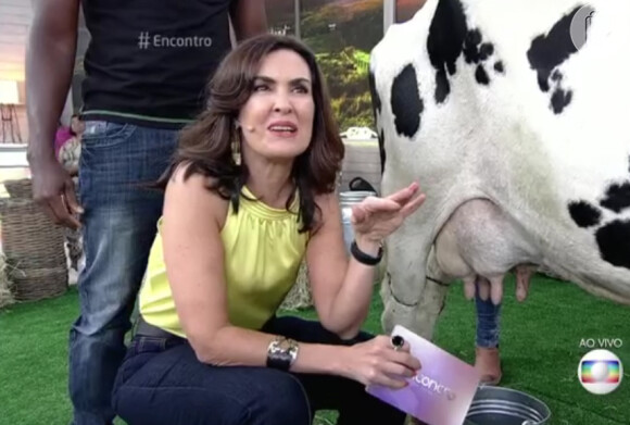 Fátima Bernardes se prepara para ordenhar vaca no 'Encontro com Fátima Bernardes', desta segunda-feira, 18 de janeiro de 2016