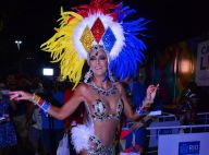 Ticiane Pinheiro ganha fantasia para desfilar no Carnaval do Rio:'Meu pai pagou'