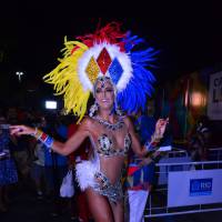 Ticiane Pinheiro ganha fantasia para desfilar no Carnaval do Rio:'Meu pai pagou'