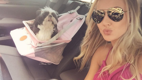 Ana Paula Siebert passeia de carro com cadela e fãs comentam: 'Muito pra poucos'