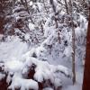 Mariah Carey mostrou o seu quintal, tomado pela neve do inverno americano