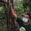 Leonardo DiCaprio posa em floresta e fã brinca: 'Cuidado com o urso'