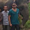 Em viagem à Indonésia, Leonardo DiCaprio também posou com elefantes