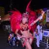 Aline Riscado foi musa do Salgueiro no último carnaval