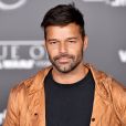 Ricky Martin levou os filhos e o namorado a première nos Estados Unidos