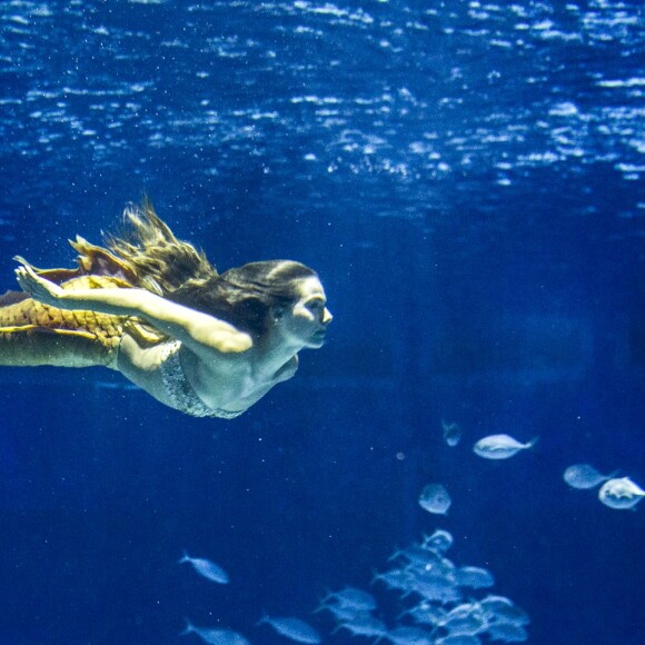 Isis Valverde mostrou toda sua habilidade ao nadar no aquário com a cauda