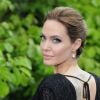 Angelina Jolie lamenta divórcio de Brad Pitt em entrevista ao 'The Telegraph'