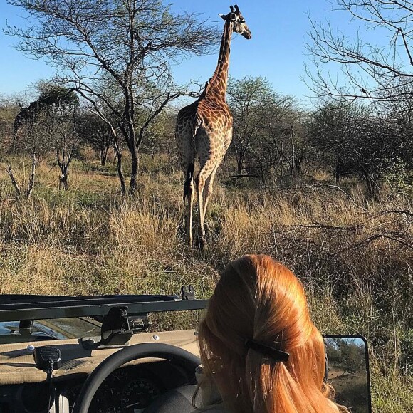 As diárias do Sabi Sabi Private Game Reserve, onde Marina Ruy Barbosa está hospedada, podem chegar até R$ 54 mil