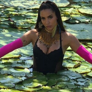 'Foi uma ideia minha. A ideia é mostrar o quanto a nossa floresta é incrível', disse Anitta