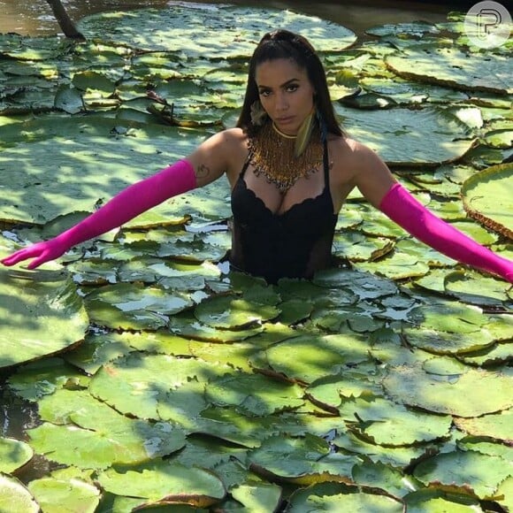 'Foi uma ideia minha. A ideia é mostrar o quanto a nossa floresta é incrível', disse Anitta