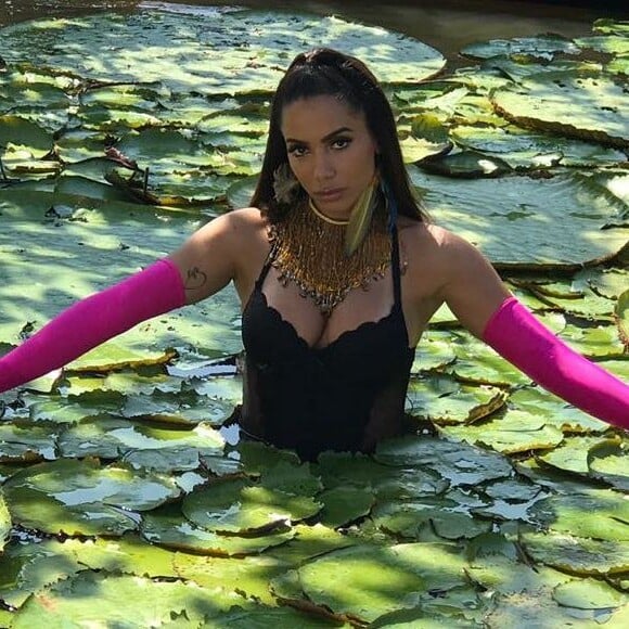 'Foi uma ideia minha. A ideia é mostrar o quanto a nossa floresta é incrível', disse Anitta
